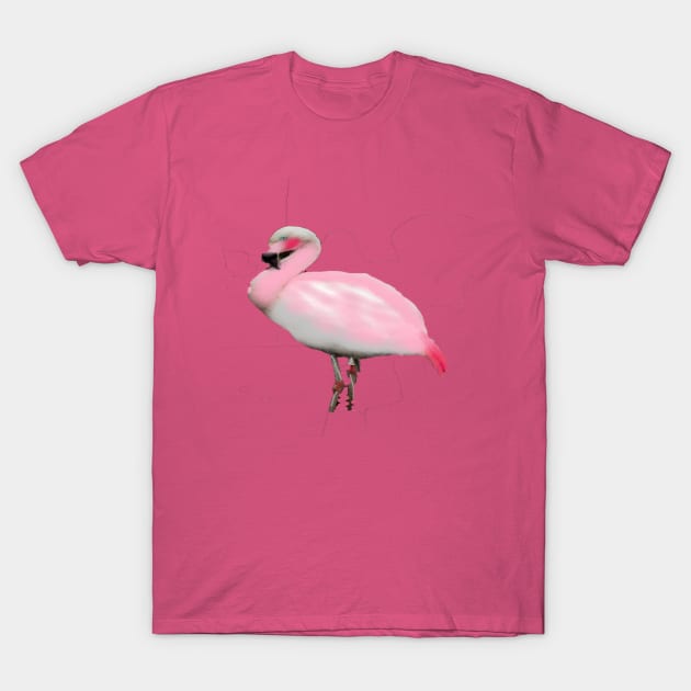 flamingo T-Shirt by Tabitha Kremesec 